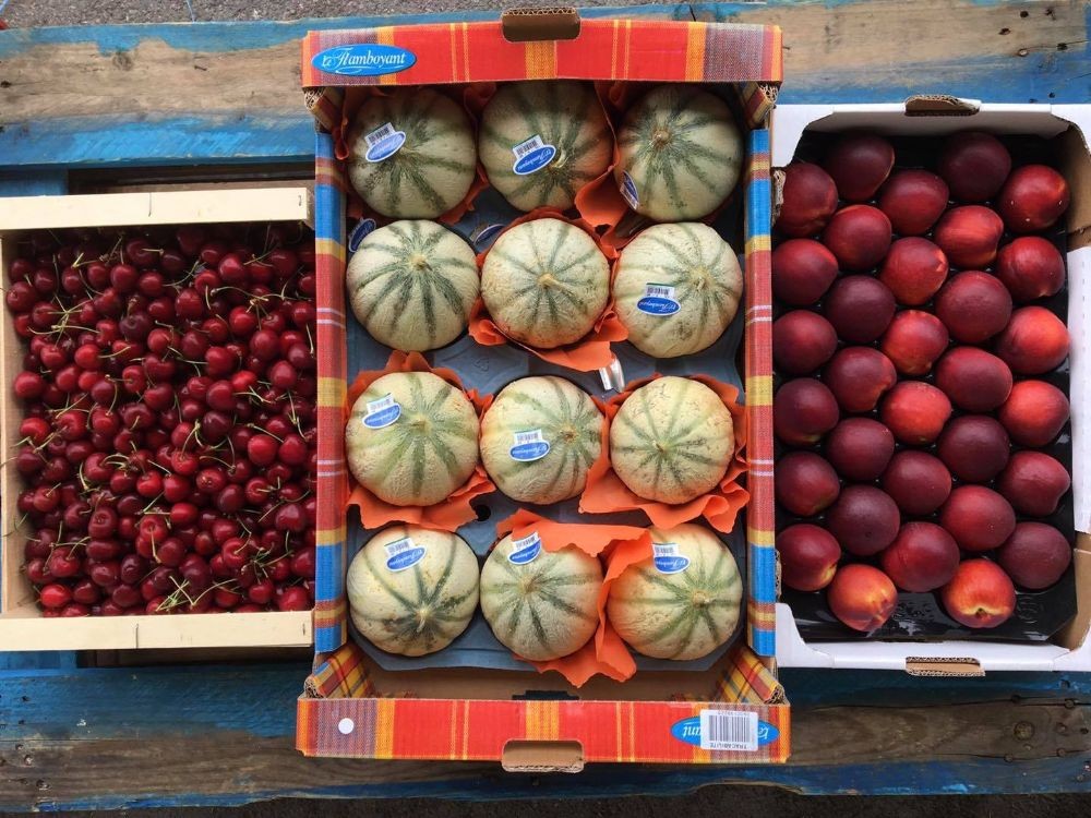 Grossiste en fruits de saison